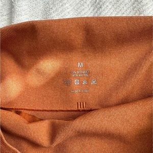 NVGTN shorts